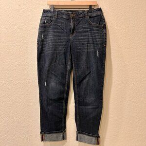 Lane Bryant Straight Distressed Jeans Cuffed Hem Size 16